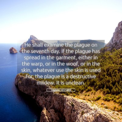 Picture 05 - Leviticus 13:51 WEB - He shall examine the plague on the seventh day. - Bible Verse Picture