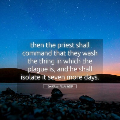 Picture 05 - Leviticus 13:54 WEB - then the priest shall command that they wash the - Bible Verse Picture