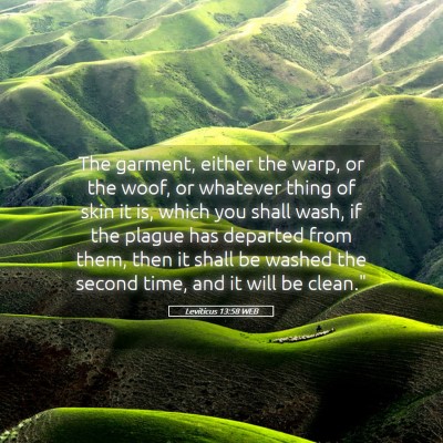 Picture 05 - Leviticus 13:58 WEB - The garment, either the warp, or the woof, or - Bible Verse Picture