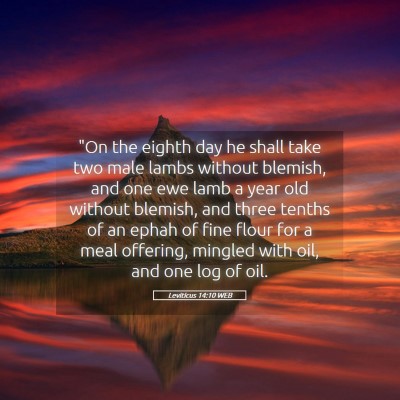 Picture 05 - Leviticus 14:10 WEB - 