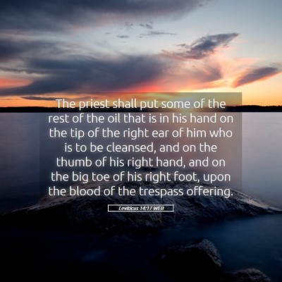 Picture 05 - Leviticus 14:17 WEB - The priest shall put some of the rest of the oil - Bible Verse Picture