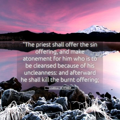 Picture 05 - Leviticus 14:19 WEB - 