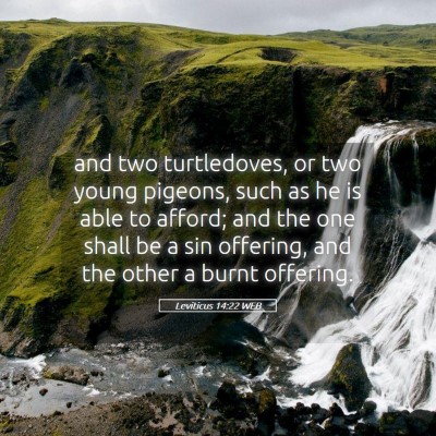 Picture 05 - Leviticus 14:22 WEB - and two turtledoves, or two young pigeons, such - Bible Verse Picture
