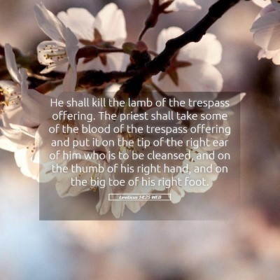 Picture 05 - Leviticus 14:25 WEB - He shall kill the lamb of the trespass offering. - Bible Verse Picture
