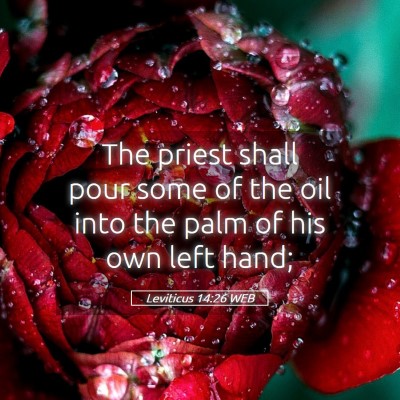 Picture 05 - Leviticus 14:26 WEB - The priest shall pour some of the oil into the - Bible Verse Picture
