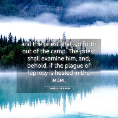 Picture 05 - Leviticus 14:3 WEB - and the priest shall go forth out of the camp. - Bible Verse Picture