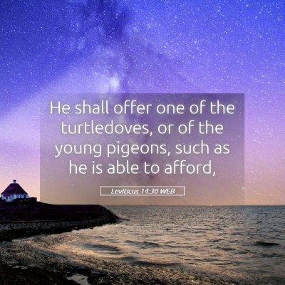 Picture 05 - Leviticus 14:30 WEB - He shall offer one of the turtledoves, or of the - Bible Verse Picture