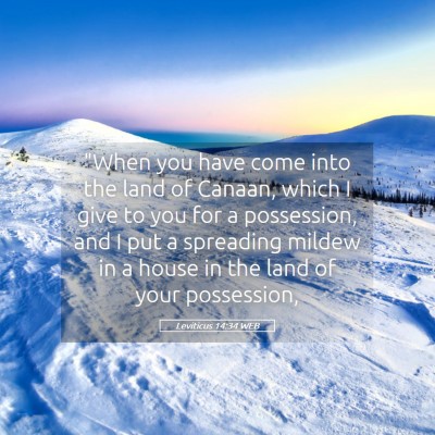 Picture 05 - Leviticus 14:34 WEB - 