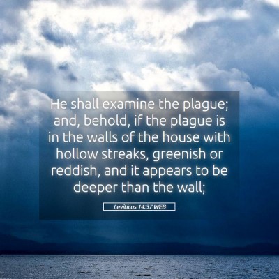 Picture 05 - Leviticus 14:37 WEB - He shall examine the plague; and, behold, if the - Bible Verse Picture