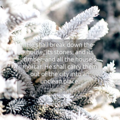 Picture 05 - Leviticus 14:45 WEB - He shall break down the house, its stones, and - Bible Verse Picture