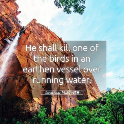 Picture 05 - Leviticus 14:50 WEB - He shall kill one of the birds in an earthen - Bible Verse Picture