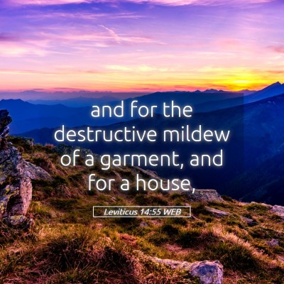 Picture 05 - Leviticus 14:55 WEB - and for the destructive mildew of a garment, and - Bible Verse Picture