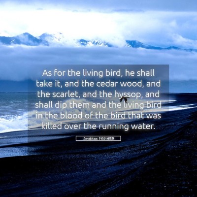 Picture 05 - Leviticus 14:6 WEB - As for the living bird, he shall take it, and the - Bible Verse Picture
