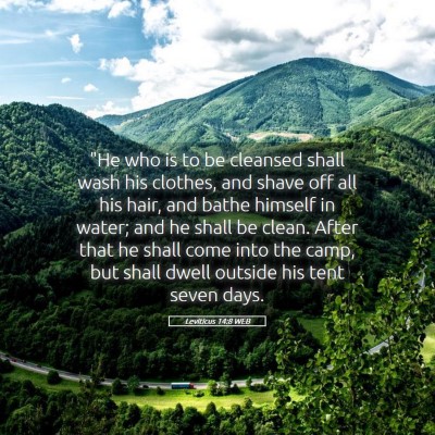 Picture 05 - Leviticus 14:8 WEB -