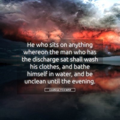 Picture 05 - Leviticus 15:6 WEB - He who sits on anything whereon the man who has - Bible Verse Picture