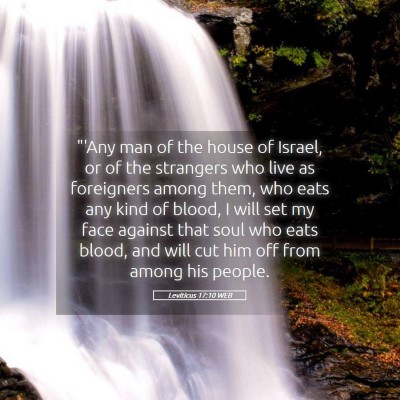 Picture 05 - Leviticus 17:10 WEB - 