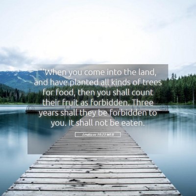 Picture 05 - Leviticus 19:23 WEB - 
