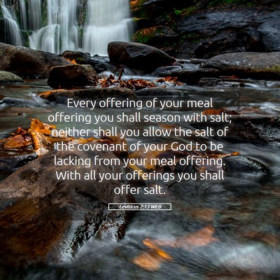 Picture 05 - Leviticus 2:13 WEB - Every offering of your meal offering you shall - Bible Verse Picture