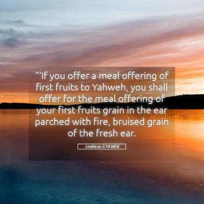 Picture 05 - Leviticus 2:14 WEB - 