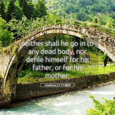 Picture 05 - Leviticus 21:11 WEB - neither shall he go in to any dead body, nor - Bible Verse Picture