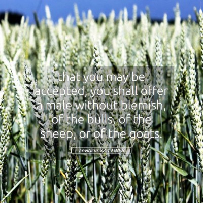 Picture 05 - Leviticus 22:19 WEB - that you may be accepted, you shall offer a male - Bible Verse Picture