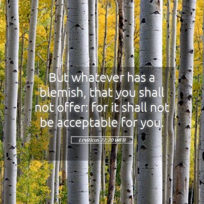 Picture 05 - Leviticus 22:20 WEB - But whatever has a blemish, that you shall not - Bible Verse Picture