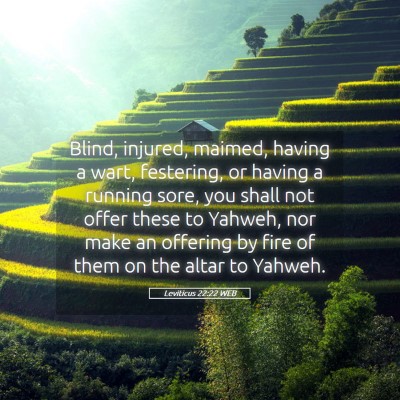 Picture 05 - Leviticus 22:22 WEB - Blind, injured, maimed, having a wart, festering, - Bible Verse Picture
