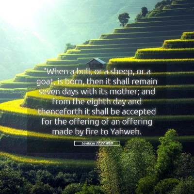 Picture 05 - Leviticus 22:27 WEB - 