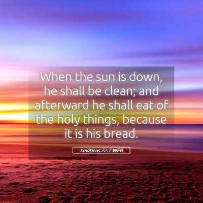 Picture 05 - Leviticus 22:7 WEB - When the sun is down, he shall be clean; and - Bible Verse Picture