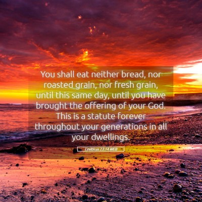 Picture 05 - Leviticus 23:14 WEB - You shall eat neither bread, nor roasted grain, - Bible Verse Picture
