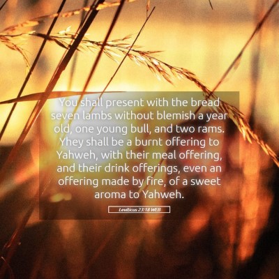 Picture 05 - Leviticus 23:18 WEB - You shall present with the bread seven lambs - Bible Verse Picture