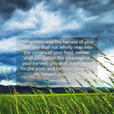 Picture 05 - Leviticus 23:22 WEB - 