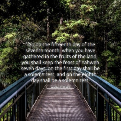 Picture 05 - Leviticus 23:39 WEB - 