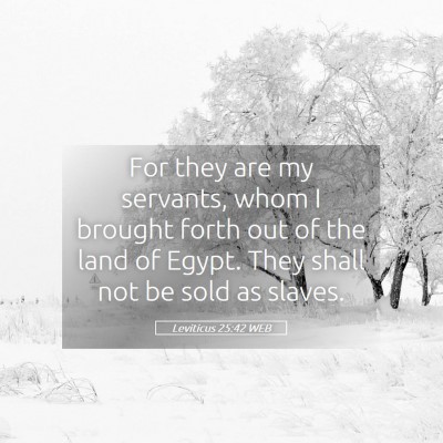Picture 05 - Leviticus 25:42 WEB - For they are my servants, whom I brought forth - Bible Verse Picture