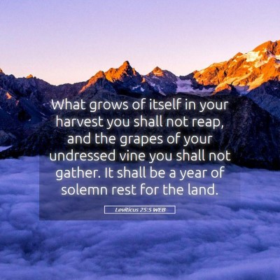 Picture 05 - Leviticus 25:5 WEB - What grows of itself in your harvest you shall - Bible Verse Picture