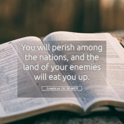 Picture 05 - Leviticus 26:38 WEB - You will perish among the nations, and the land - Bible Verse Picture