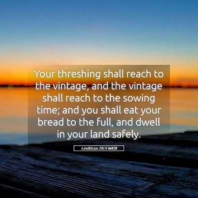 Picture 05 - Leviticus 26:5 WEB - Your threshing shall reach to the vintage, and - Bible Verse Picture