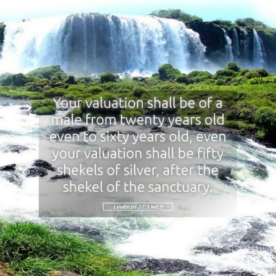 Picture 05 - Leviticus 27:3 WEB - Your valuation shall be of a male from twenty - Bible Verse Picture