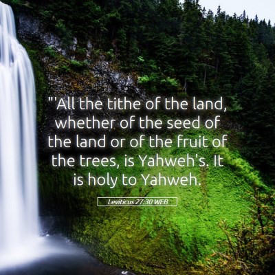 Picture 05 - Leviticus 27:30 WEB - 