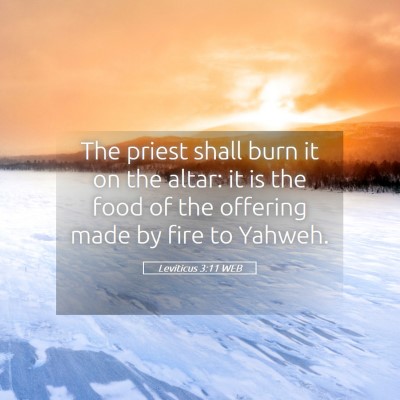 Picture 05 - Leviticus 3:11 WEB - The priest shall burn it on the altar: it is the - Bible Verse Picture
