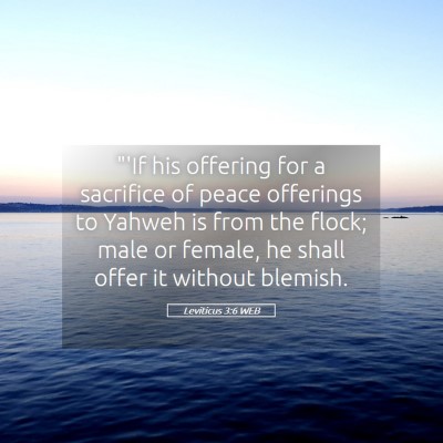 Picture 05 - Leviticus 3:6 WEB - 