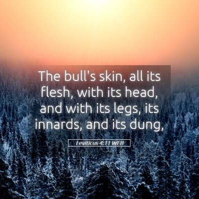Picture 05 - Leviticus 4:11 WEB - The bull's skin, all its flesh, with its head, - Bible Verse Picture