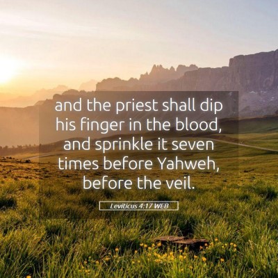 Picture 05 - Leviticus 4:17 WEB - and the priest shall dip his finger in the blood, - Bible Verse Picture