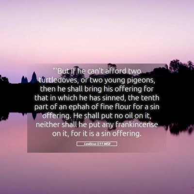 Picture 05 - Leviticus 5:11 WEB - 