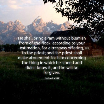 Picture 05 - Leviticus 5:18 WEB - He shall bring a ram without blemish from of the - Bible Verse Picture