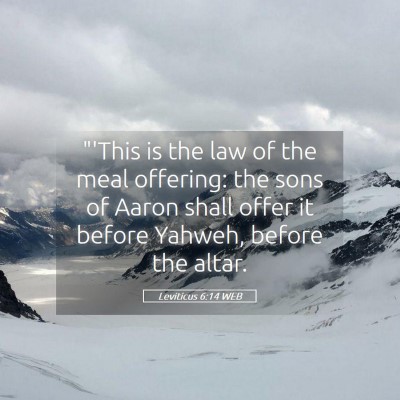 Picture 05 - Leviticus 6:14 WEB - 