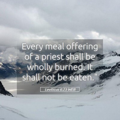 Picture 05 - Leviticus 6:23 WEB - Every meal offering of a priest shall be wholly - Bible Verse Picture