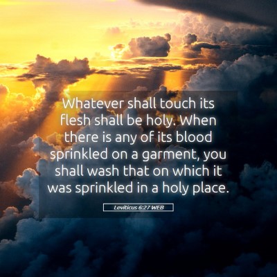 Picture 05 - Leviticus 6:27 WEB - Whatever shall touch its flesh shall be holy. - Bible Verse Picture