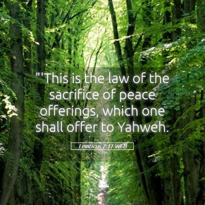 Picture 05 - Leviticus 7:11 WEB - 