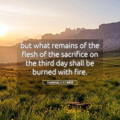 Picture 05 - Leviticus 7:17 WEB - but what remains of the flesh of the sacrifice on - Bible Verse Picture